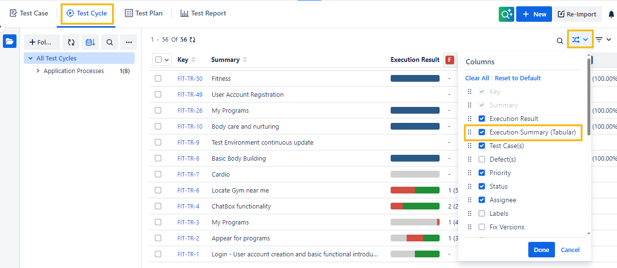 Test Cycle Execution Summary Tabular View